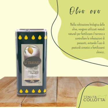 Sapore Autentico: Scopri il Miglior Olio Extravergine d'Oliva Biologico della Sicilia