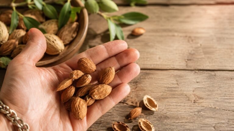 Mandorle italiane biologiche Tenuta Collotta coltivate in Sicilia