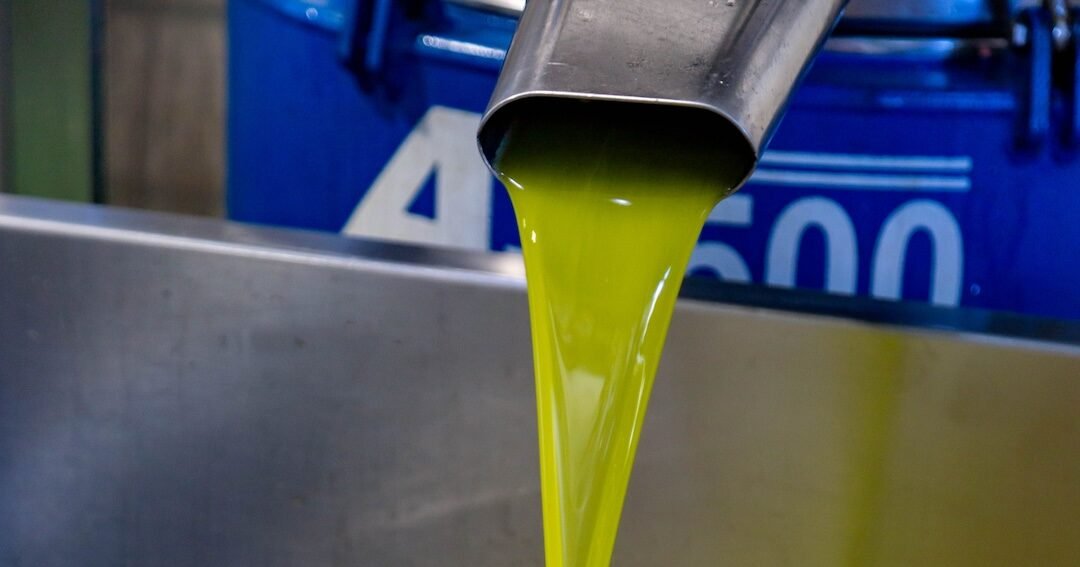 Olio biologico dell'entroterra siciliano di Tenuta Collotta